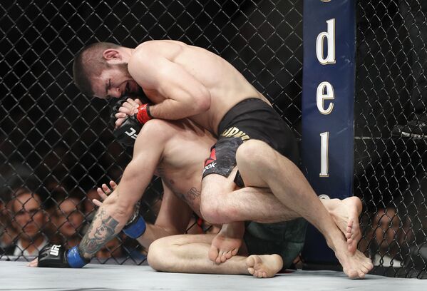 Las mejores imágenes del combate entre MCGregor y Khabib - Sputnik Mundo