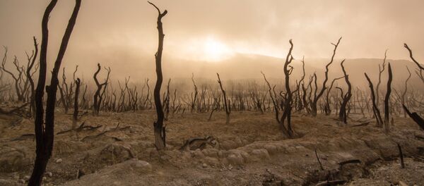 Fin del mundo, imagen referencial - Sputnik Mundo