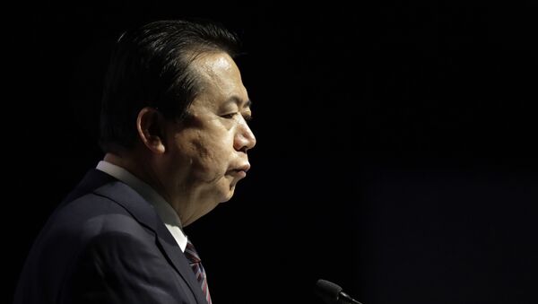 Meng Hongwei, exjefe de Interpol - Sputnik Mundo