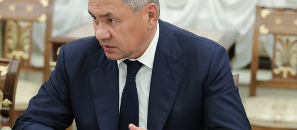 Serguéi Shoigú, ministro de Defensa ruso (archivo) - Sputnik Mundo