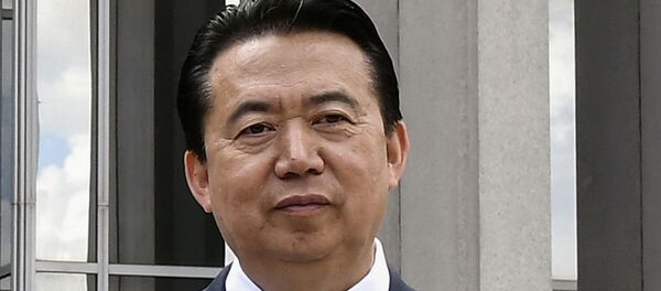 Meng Hongwei, exjefe de Interpol - Sputnik Mundo