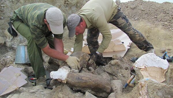 Excavaciones en la península de Taman (sur de Rusia) Excavaciones en la península de Taman (sur de Rusia) - Sputnik Mundo