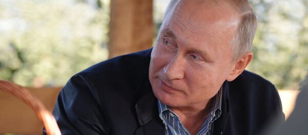 Vladímir Putin, presidente de Rusia, en la región de Stávropol - Sputnik Mundo