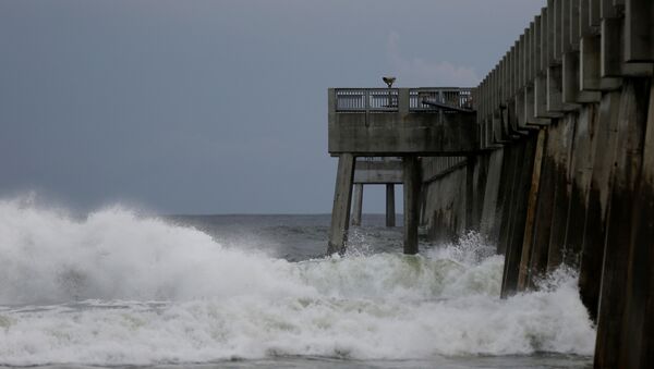 La llegada del huracán Michael - Sputnik Mundo