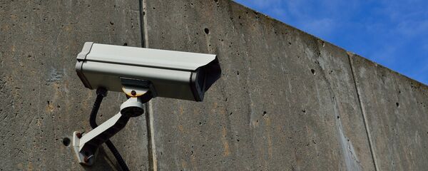 Una cámara de vigilancia (imagen ilustrativa) - Sputnik Mundo