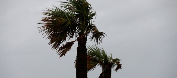 La llegada del huracán Michael - Sputnik Mundo