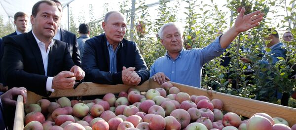 El presidente de Rusia, Vladímir Putin y el primer ministro, Dmitry Medvedev durante una inspección agrícola - Sputnik Mundo