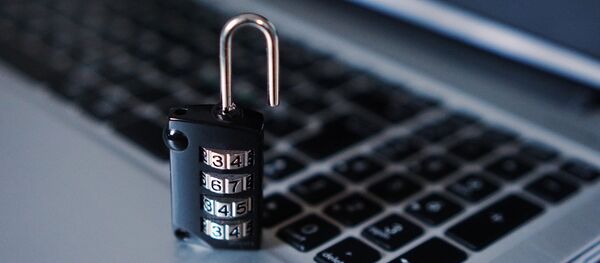 Seguridad informática Seguridad informática - Sputnik Mundo