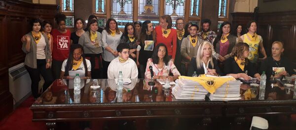 Representantes de más de 80 colectivos que impulsaron la recolección de firmas Representantes de más de 80 colectivos que impulsaron la recolección de firmas - Sputnik Mundo