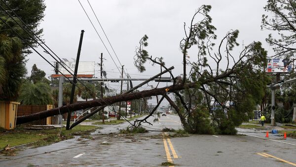 El huracán Michael en Florida - Sputnik Mundo