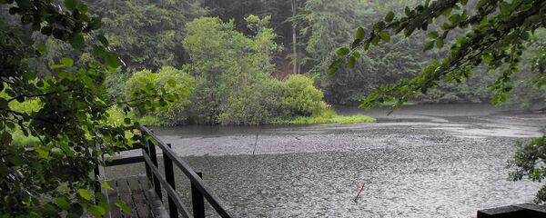 Lluvia torrencial (imagen referencial) Lluvia torrencial (imagen referencial) - Sputnik Mundo