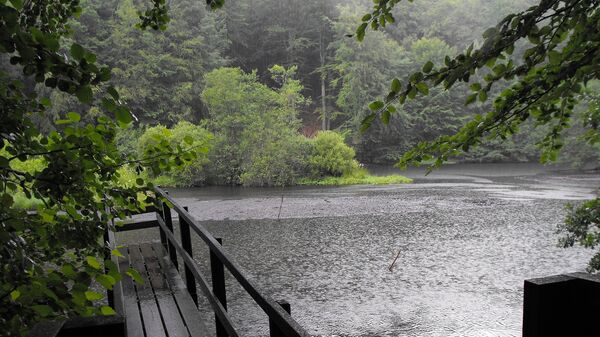 Lluvia intensa (imagen referencial) - Sputnik Mundo