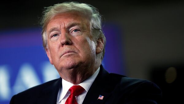 Donald Trump, presidente de EEUU - Sputnik Mundo