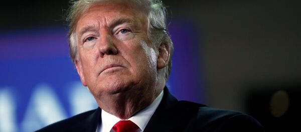 Donald Trump, presidente de EEUU - Sputnik Mundo