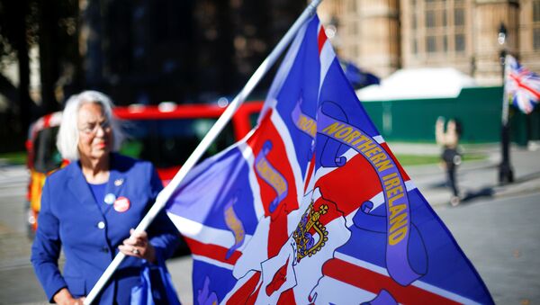 Una mujer con la bandera con nombres de condados de Irlanda del Norte - Sputnik Mundo