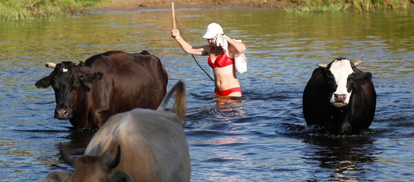 La belleza de las mujeres rurales - Sputnik Mundo