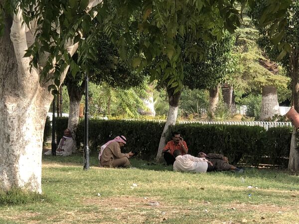 La ciudad siria de Hama vuelve a la normalidad tras la guerra - Sputnik Mundo