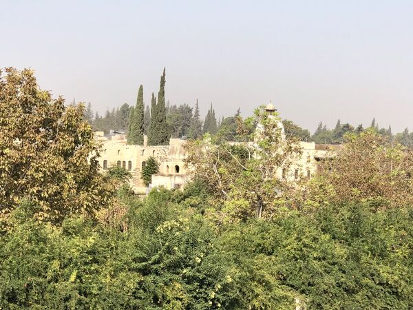 La ciudad siria de Hama vuelve a la normalidad tras la guerra - Sputnik Mundo