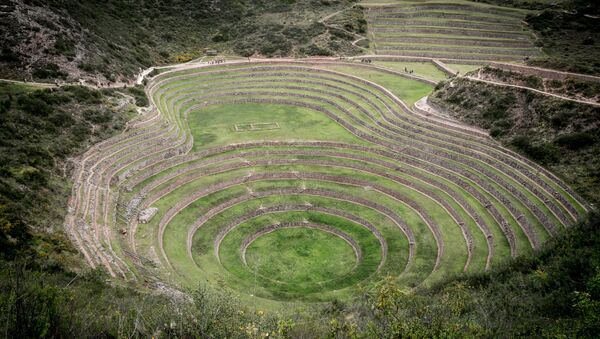 Agroecología rural (imagen referencial) - Sputnik Mundo