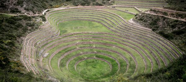 Agroecología rural (imagen referencial) - Sputnik Mundo