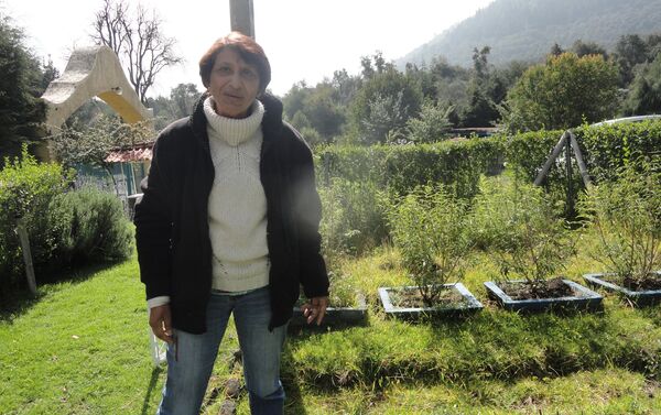 María Teresa Brambila, pasó de lo urbano a lo rural en proyecto agroecológico - Sputnik Mundo