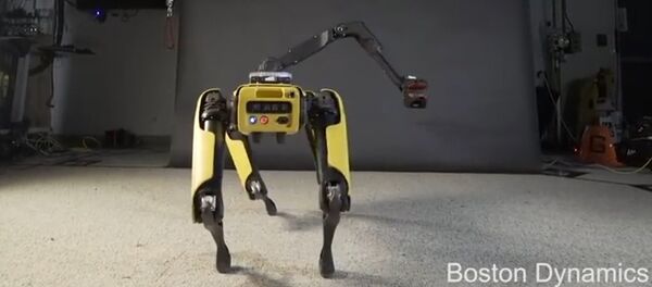 SpotMini, robot de la empresa Boston Dynamics - Sputnik Mundo