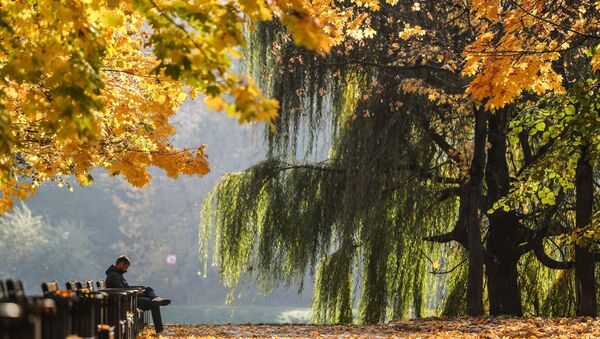 Otoño en Moscú - Sputnik Mundo