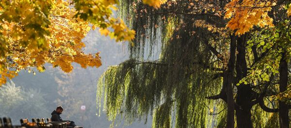 Otoño en Moscú - Sputnik Mundo