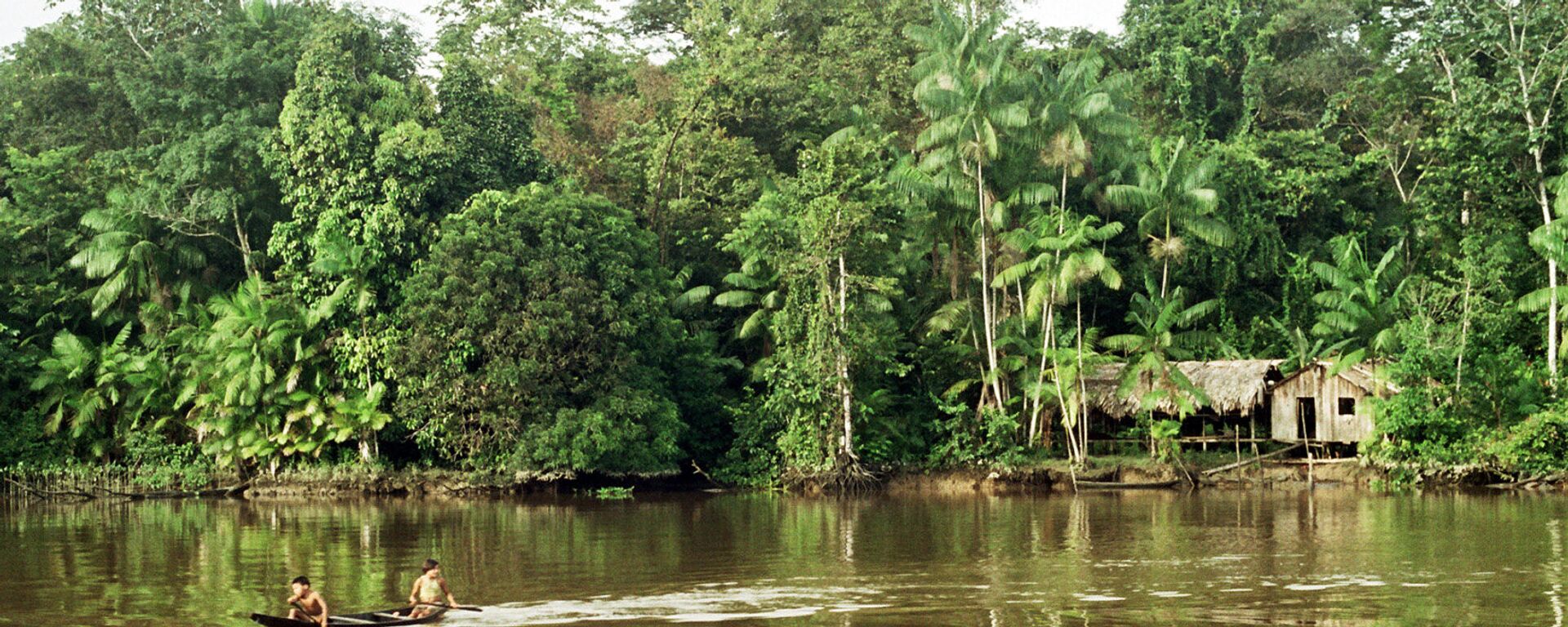 La selva amazónica - Sputnik Mundo, 1920, 28.01.2021