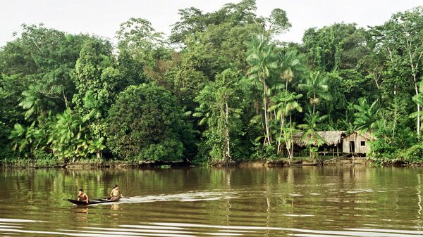 La selva amazónica - Sputnik Mundo