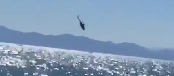 Vídeo: así cayó el helicóptero de la Armada de México - Sputnik Mundo