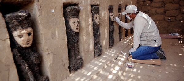 Esculturas de madera en la ciudadela de Chan Chan, Perú Esculturas de madera en la ciudadela de Chan Chan, Perú - Sputnik Mundo