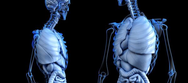 Medicina (anatomía) (imagen referencial) - Sputnik Mundo