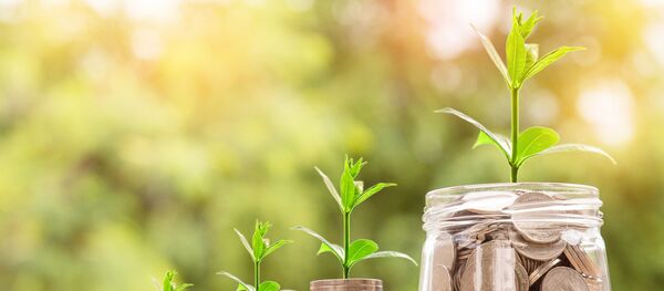 Riqueza - Sputnik Mundo