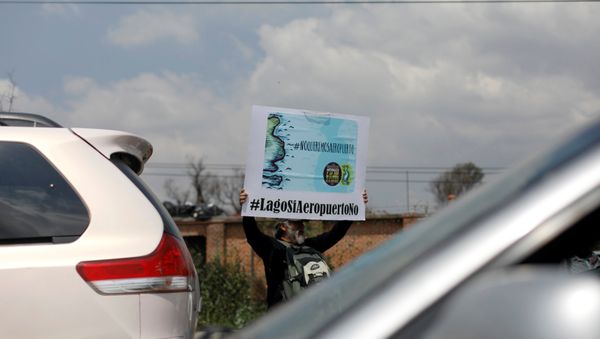 Protestas contra la construcción del Nuevo Aeropuerto Internacional de México en el lecho del lago Texcoco Protestas contra la construcción del Nuevo Aeropuerto Internacional de México en el lecho del lago Texcoco - Sputnik Mundo