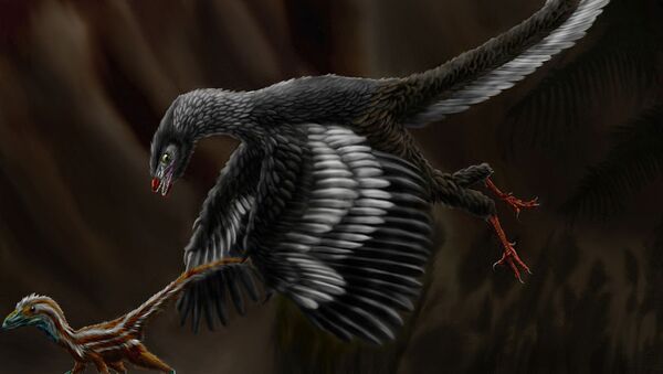 Arqueópterix (impresión artística) - Sputnik Mundo