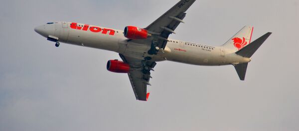 Un Boeing 737 de la aerolínea indonesia Lion Air (archivo) Un Boeing 737 de la aerolínea indonesia Lion Air (archivo) - Sputnik Mundo