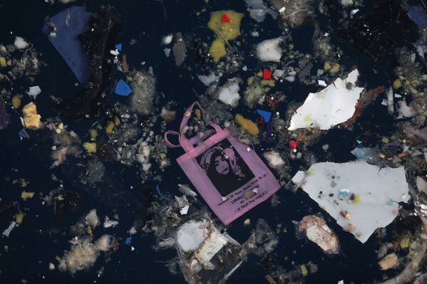 Accidente del Boeing indonesio: esto es lo que hallaron los rescatistas en el lugar de la tragedia - Sputnik Mundo