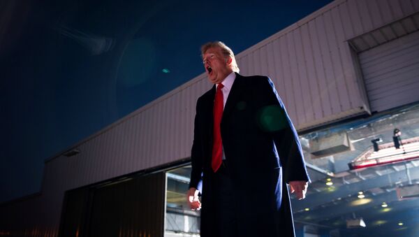 Donald Trump, presidente de EEUU - Sputnik Mundo