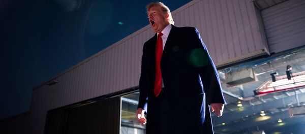 Donald Trump, presidente de EEUU - Sputnik Mundo