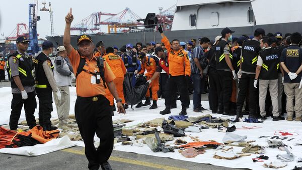 Los escombros del avión siniestrado de la compañía Lion Air - Sputnik Mundo