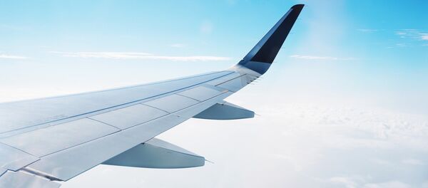 Ala de un avión - Sputnik Mundo