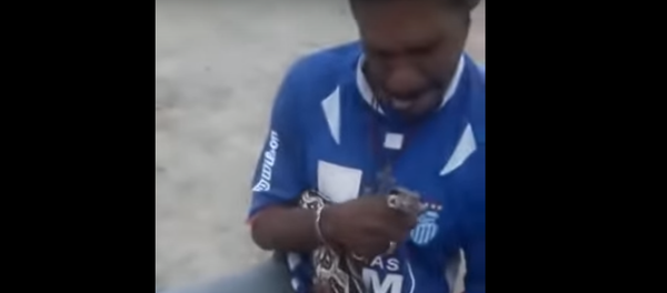 Una cobra muerde a un brasileño - Sputnik Mundo