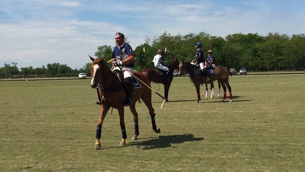 Partido de polo en Argentina - Sputnik Mundo