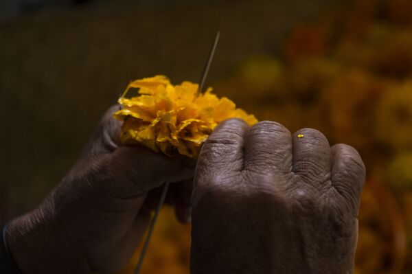 Así se festejó el Día de Muertos en Ciudad de México (fotos) - Sputnik Mundo