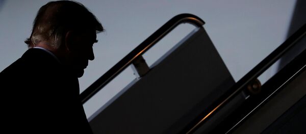Donald Trump, el presidente de EEUU Donald Trump, el presidente de EEUU - Sputnik Mundo