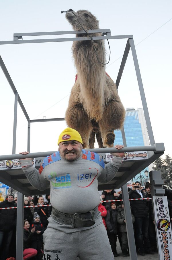 Elbrus Nigmatullin levantando un camello - Sputnik Mundo