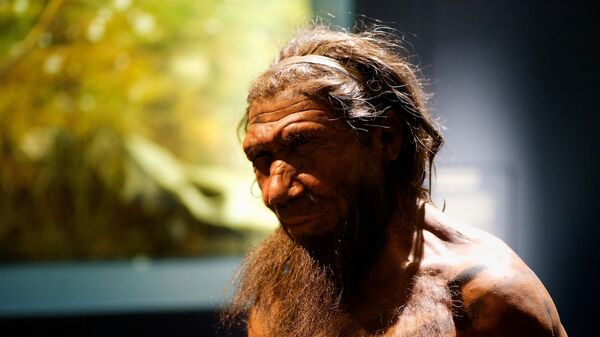 Un neandertal (imagen referencial) - Sputnik Mundo