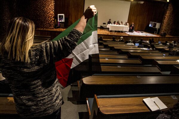 Mujer levanta la bandera de Palestina para hablar sobre los muros que golpean en ese país y en el mexicano. Mujer levanta la bandera de Palestina para hablar sobre los muros que golpean en ese país y en el mexicano. - Sputnik Mundo