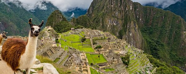 Una llama en Machu Picchu - Sputnik Mundo